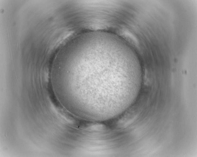 X0000088850210200706221708