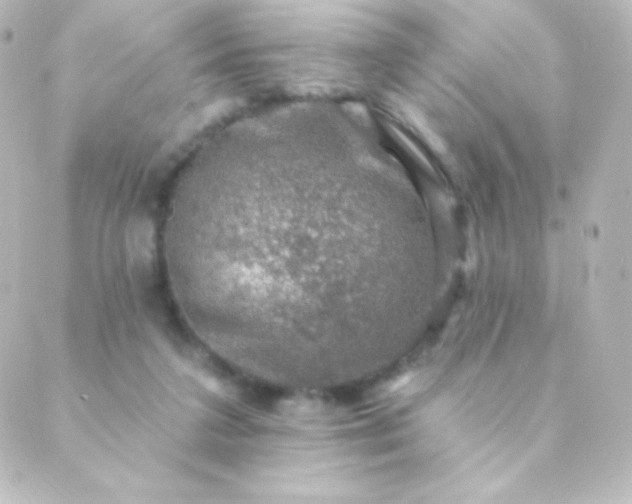 X0000088850211200706221708