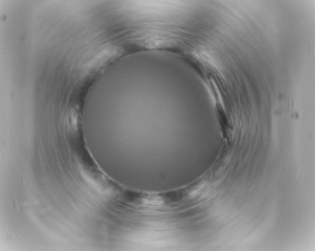 X0000088850214200706221708