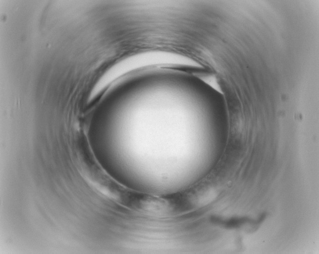 X0000088850215200706221708