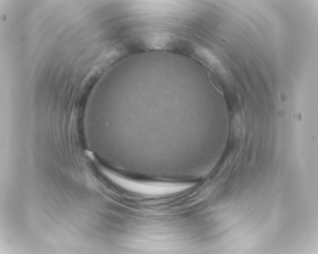 X0000088850217200706221708