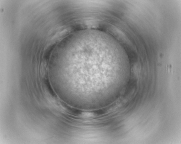 X0000088850218200706221708