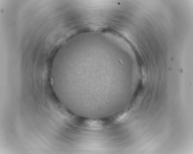 X0000088850221200706221708