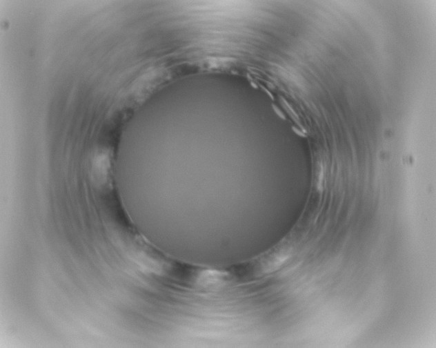 X0000088850222200706221708