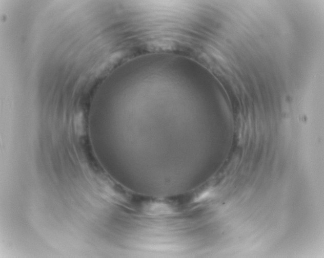 X0000088850224200706221708