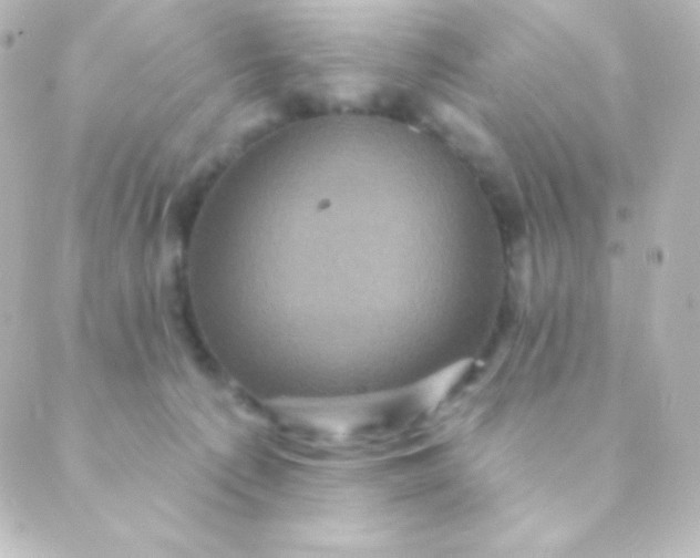 X0000088850225200706221708