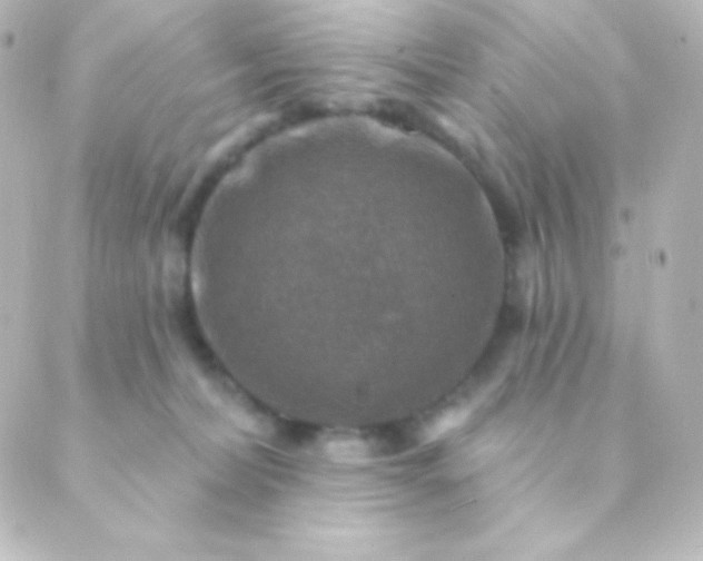 X0000088850228200706221708