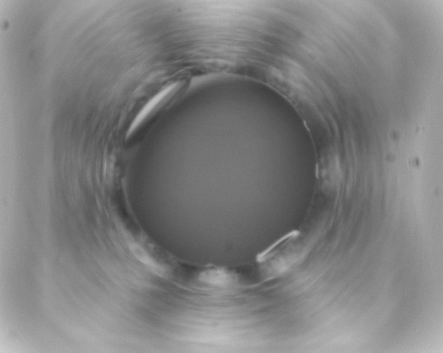 X0000088850231200706221708