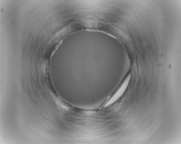 X0000088850233200706221708