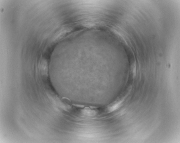 X0000088850234200706221708