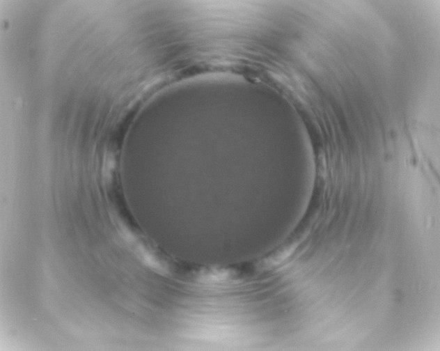 X0000088850235200706221708