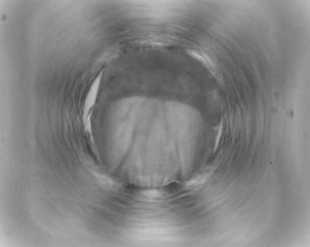 X0000088850237200706221708