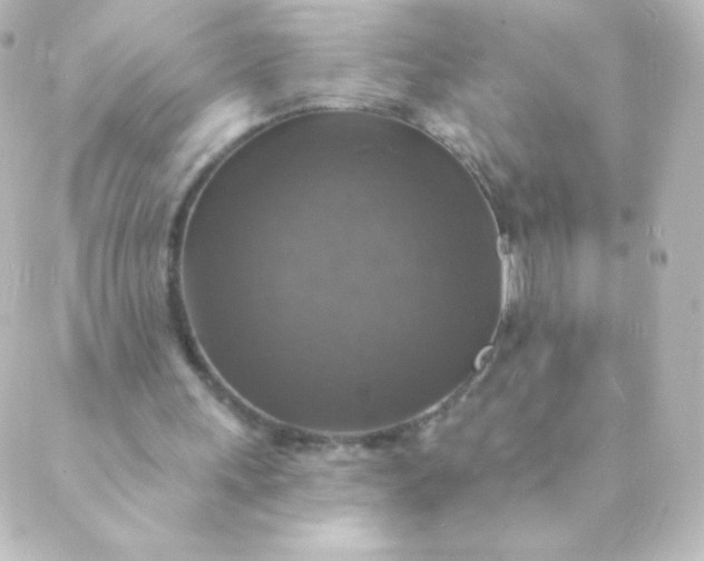 X0000088850243200706221707