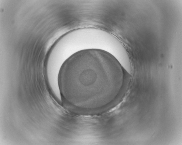 X0000088850244200706221707