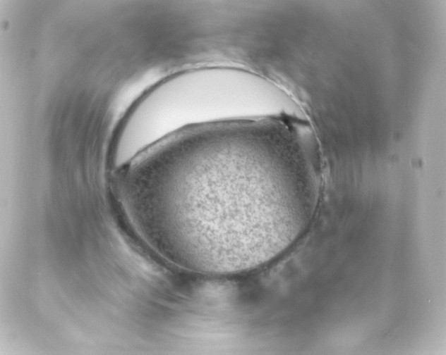 X0000088850248200706221707