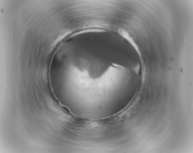 X0000088850249200706221707