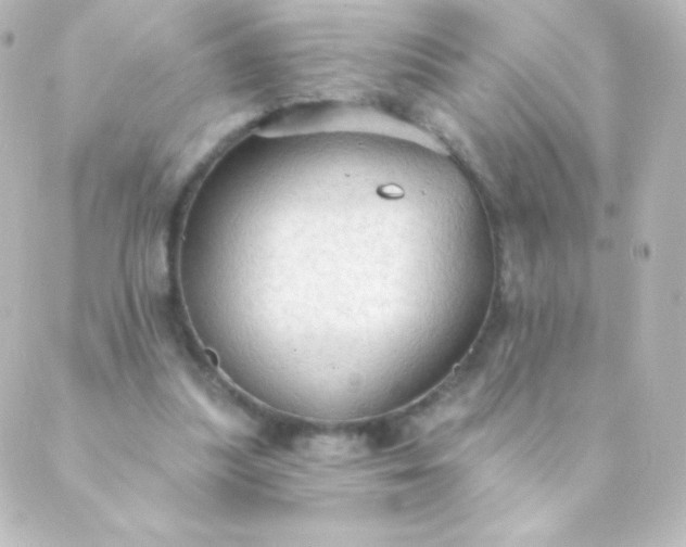 X0000088850251200706221707