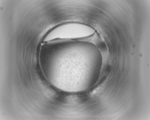 X0000088850252200706221707