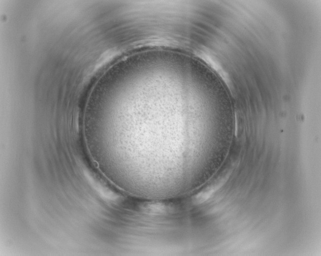 X0000088850253200706221707