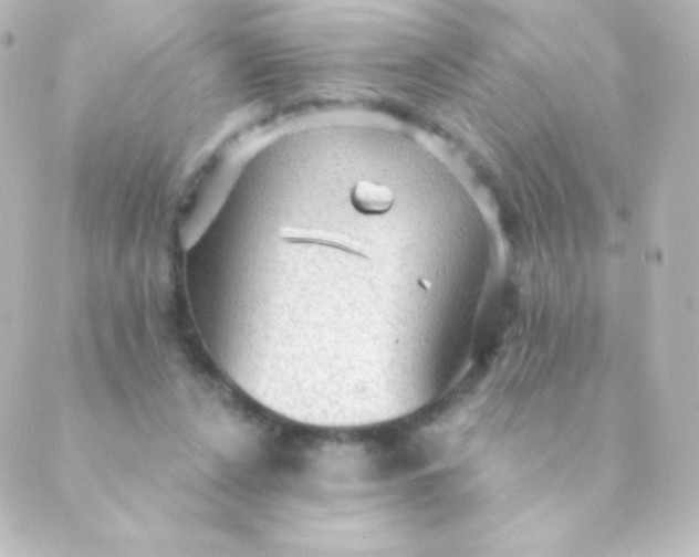 X0000088850256200706221707