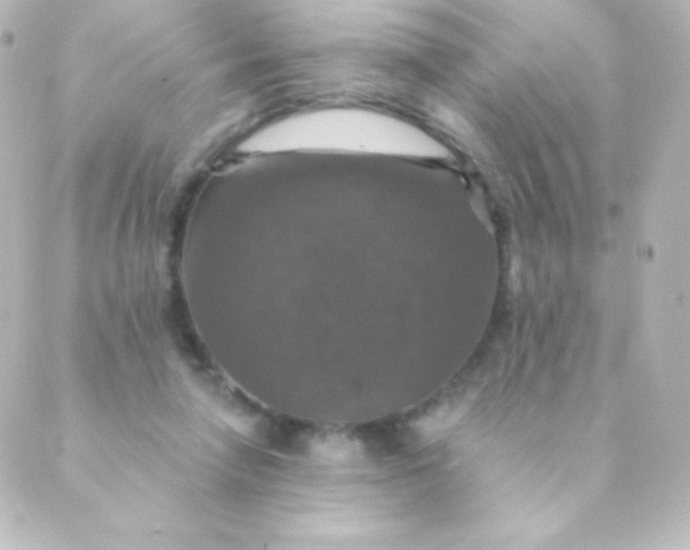 X0000088850258200706221707