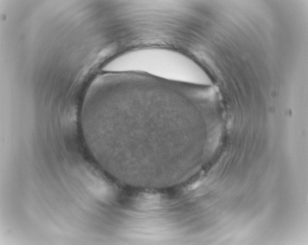 X0000088850260200706221707