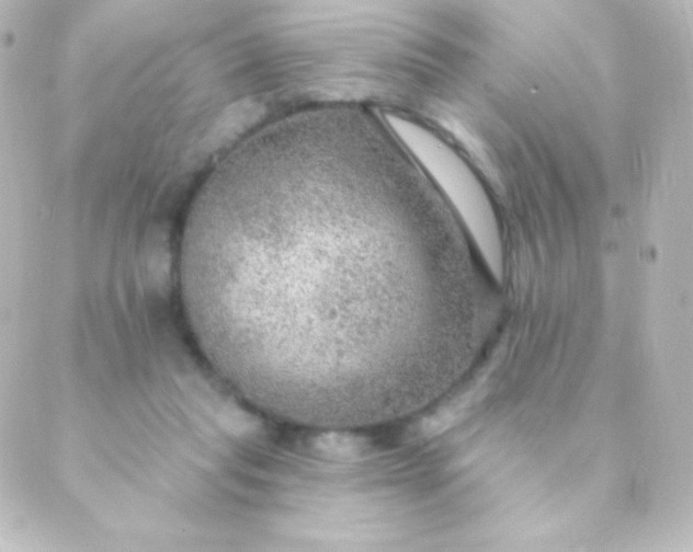 X0000088850261200706221707