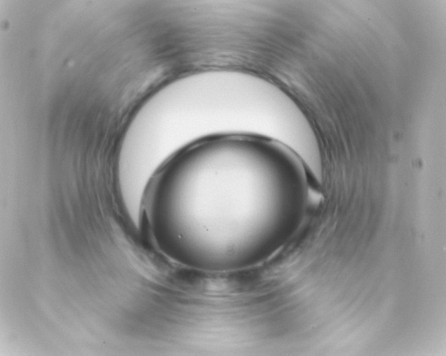 X0000088850264200706221707