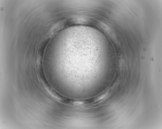 X0000088850265200706221707