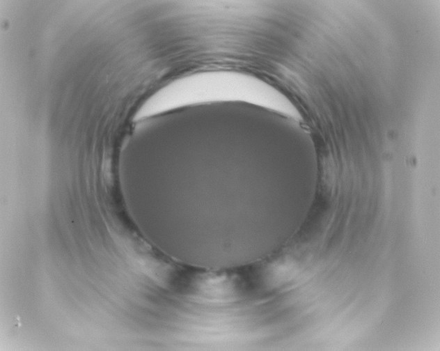 X0000088850267200706221707