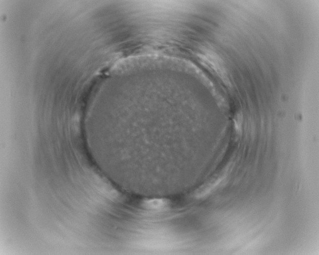 X0000088850269200706221707