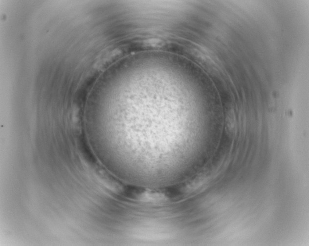 X0000088850270200706221707