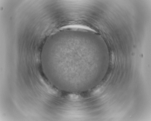 X0000088850272200706221707