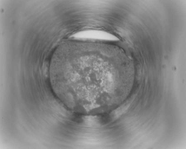 X0000088850273200706221707