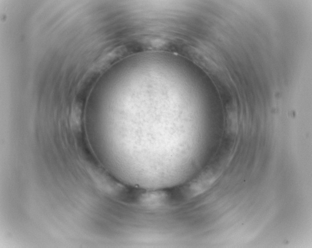 X0000088850274200706221707