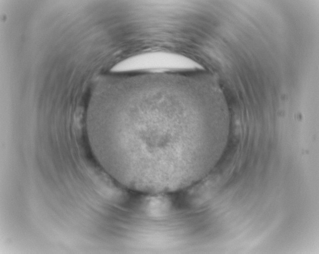 X0000088850275200706221708