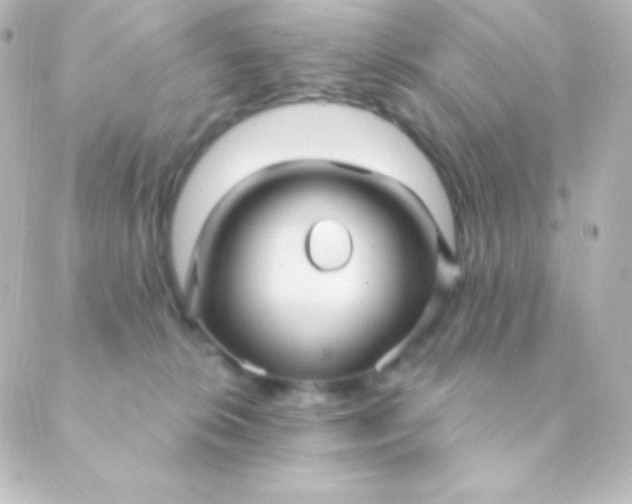 X0000088850276200706221708