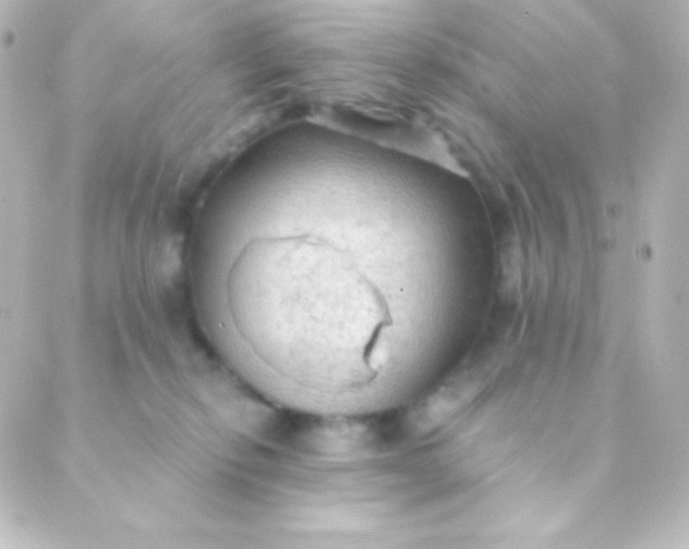 X0000088850278200706221708