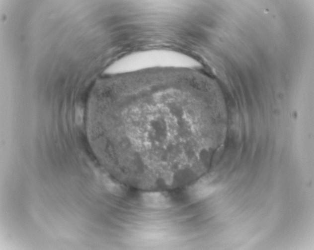 X0000088850281200706221708