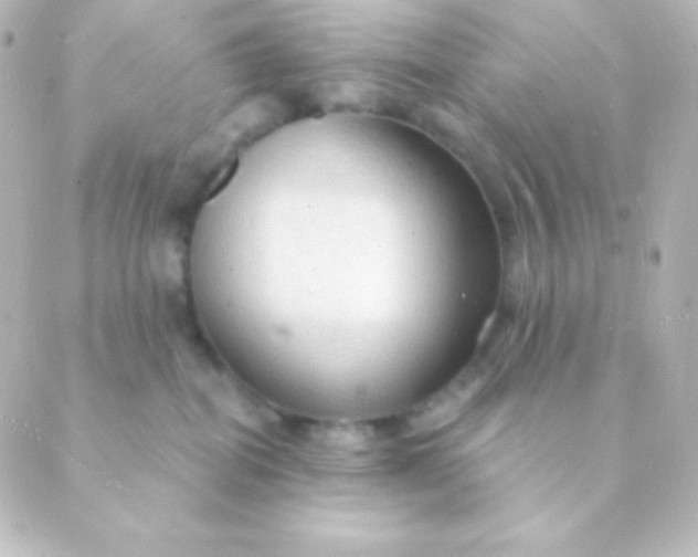 X0000088850282200706221708