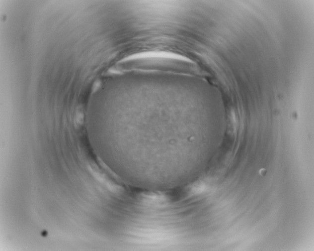 X0000088850284200706221708