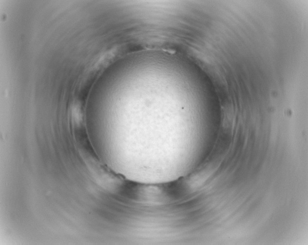 X0000088850287200706221708