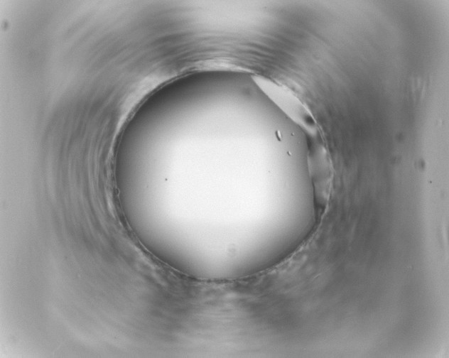 X0000088850289200706221707