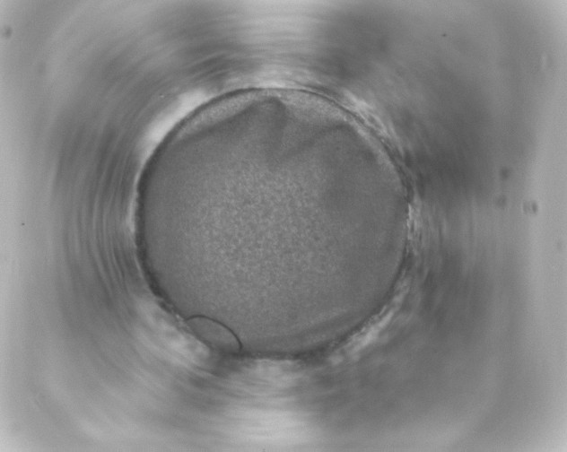 X0000088850292200706221707