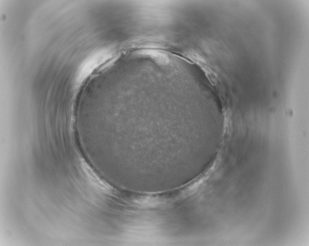 X0000088850293200706221707