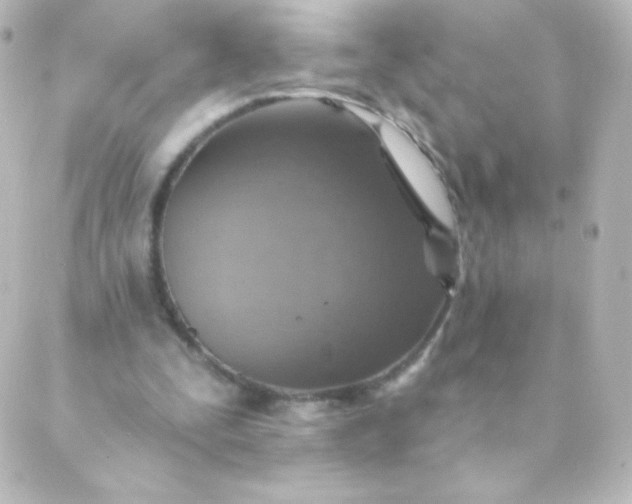 X0000088850295200706221707