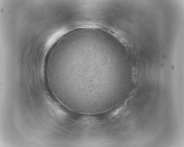 X0000088850296200706221707