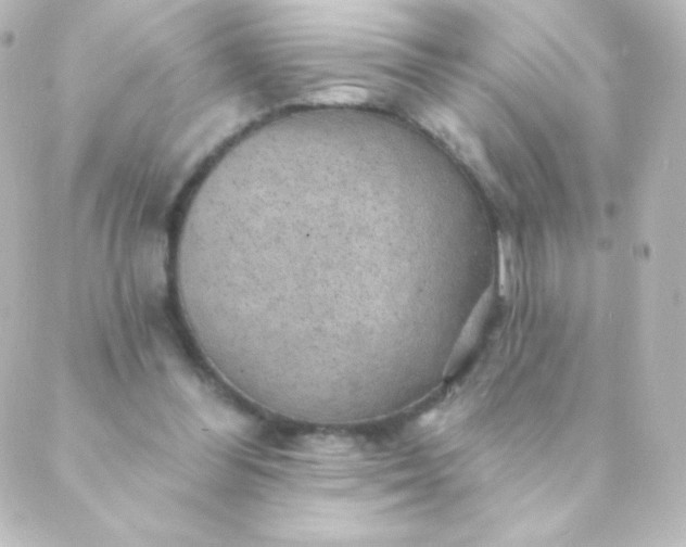 X0000088850300200706221707