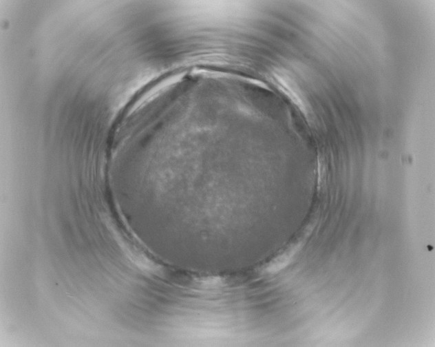 X0000088850301200706221707