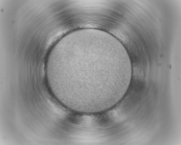 X0000088850302200706221707